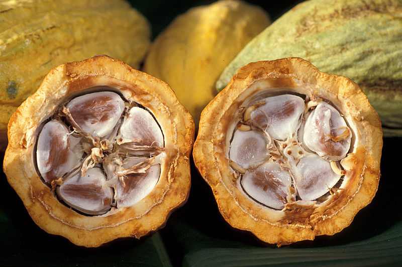 Kakaofrucht Chocofalla